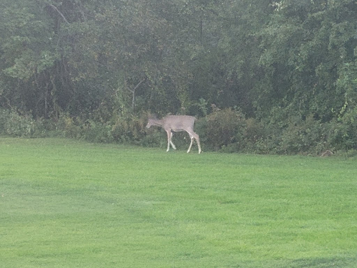 Golf Driving Range «Patriot Golf Course», reviews and photos, 200 Springs Rd, Bedford, MA 01730, USA
