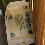 Photo n° 2 de l'avis de RUBEN.O fait le 03/12/2023 à 14:23 pour Hara-kiri Ramen à Paris