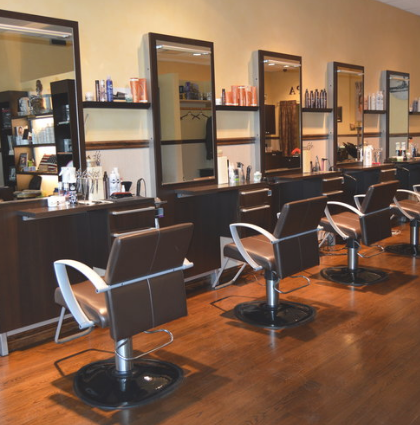 Euro Spa Hair Salon 10570