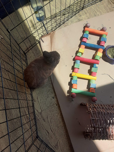 Pet Supply Store «Blue Seal Feeds Inc», reviews and photos, 876 Stillwater Ave # 1, Bangor, ME 04401, USA