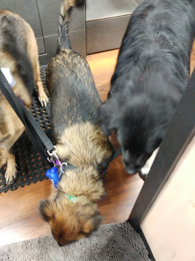 Pet Store «Pet Valu», reviews and photos, 1301 W Skippack Pike, Blue Bell, PA 19422, USA