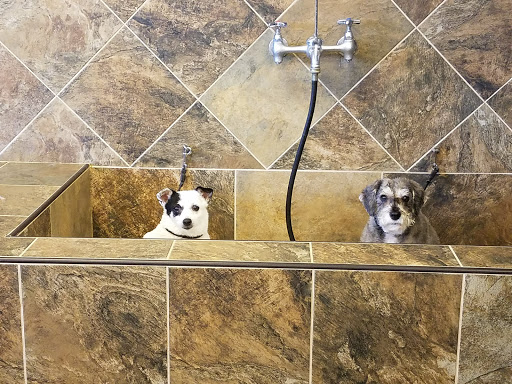 Pet Supply Store «Pet Valu», reviews and photos, 3735 Palomar Centre Dr #130, Lexington, KY 40513, USA