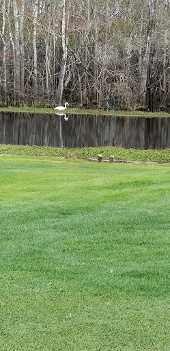 Golf Course «Witch Golf Links», reviews and photos, 1900 SC-544, Conway, SC 29526, USA