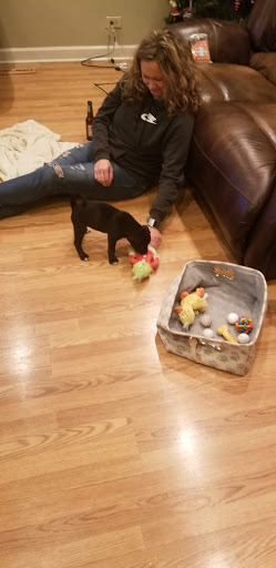 Pet Store «Dog Patch Pet & Feed», reviews and photos, 1108 E Ogden Ave, Naperville, IL 60563, USA