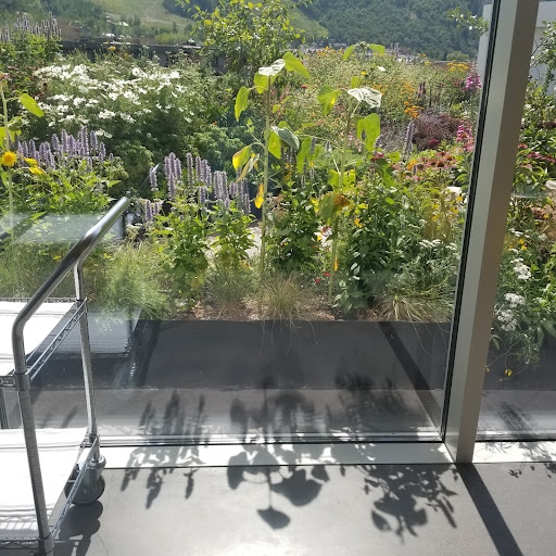 Art Museum «Aspen Art Museum», reviews and photos, 637 E Hyman Ave, Aspen, CO 81611, USA