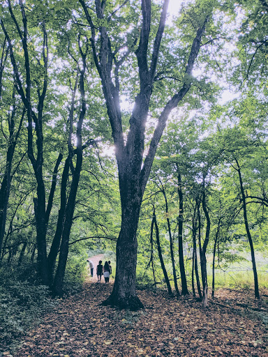 Nature Preserve «Southwood Nature Preserve», reviews and photos, 2651 Holloway Ave E, North St Paul, MN 55109, USA