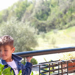 Photo n°19 de l'avis de Andrea.e fait le 18/04/2022 à 20:59 sur le  Giardino Botanico Gavinell à Salsomaggiore Terme