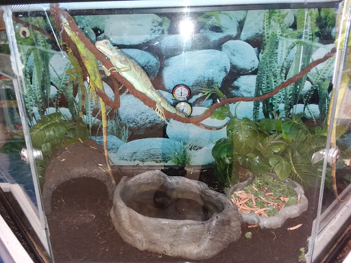 Pet Supply Store «Petco Animal Supplies», reviews and photos, 1753 St Lucie W Blvd, Port St Lucie, FL 34986, USA