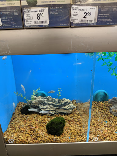 Pet Supply Store «PetSmart», reviews and photos, 6106 Shops Way, Northborough, MA 01532, USA