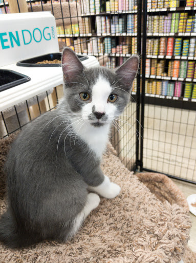 Pet Supply Store «Premier Pet Supply», reviews and photos, 15399 Merriman Rd, Livonia, MI 48154, USA