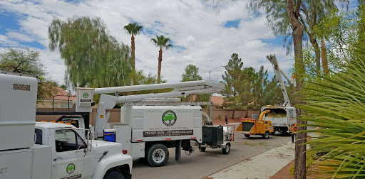 Affordable Tree Service Las Vegas