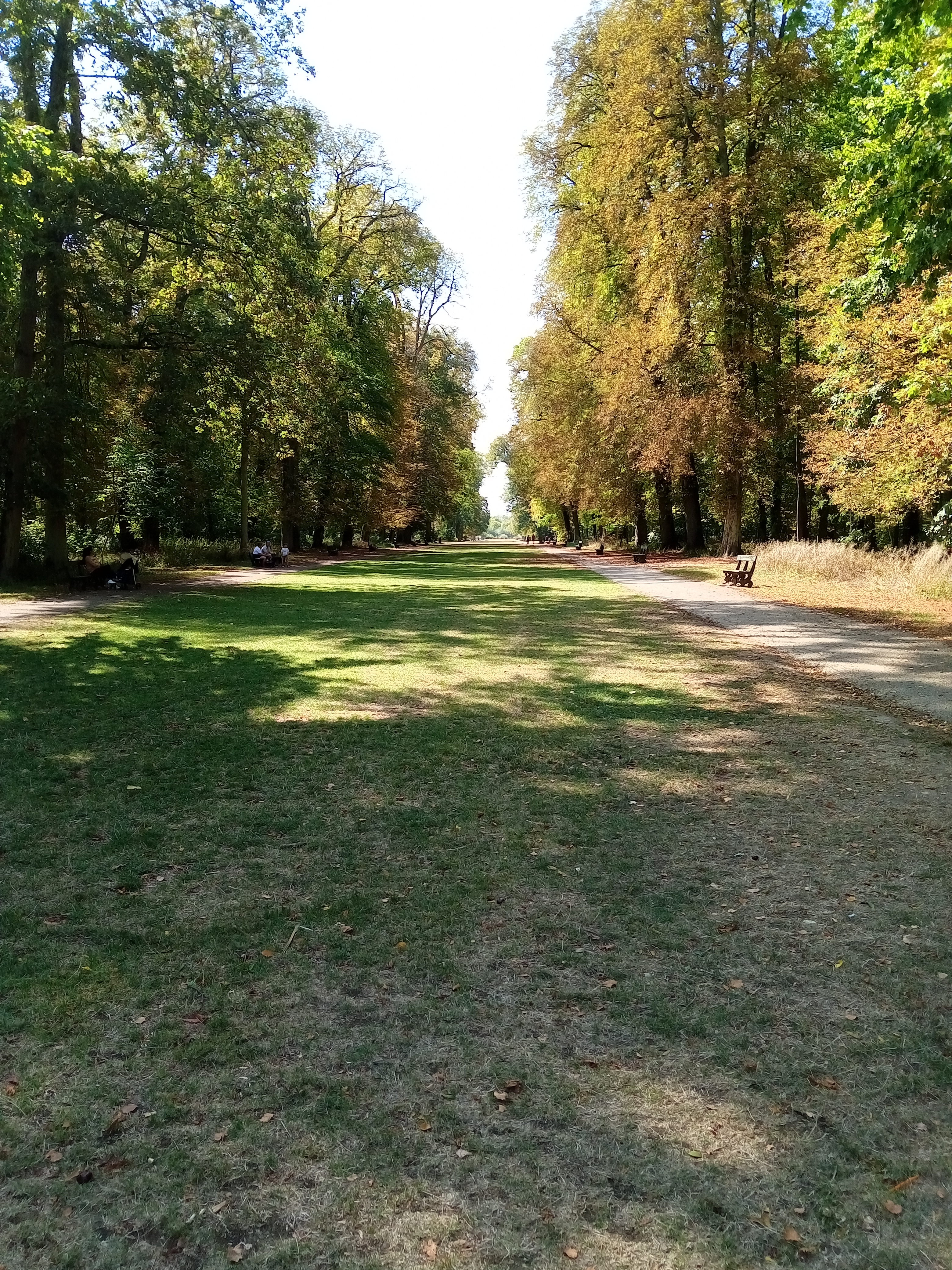 Photo n° 1 de l'avis de Sabrina. fait le 21/09/2020 à 16:35