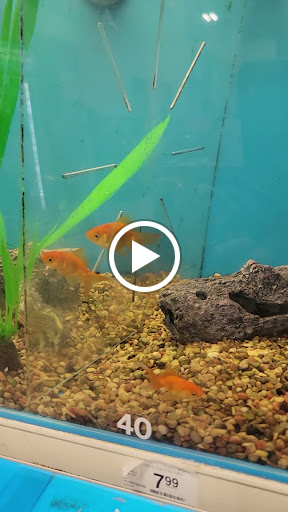 Pet Supply Store «Petco Animal Supplies», reviews and photos, 475 S Wadsworth Blvd, Lakewood, CO 80226, USA