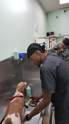 Pet Groomer «ITIG Happy Dog Wash», reviews and photos, 6465 S Chickasaw Trail, Orlando, FL 32829, USA