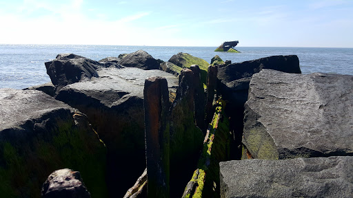 Historical Landmark «Wreck of the SS Atlantus», reviews and photos, Sunset Blvd, Cape May, NJ 08204, USA