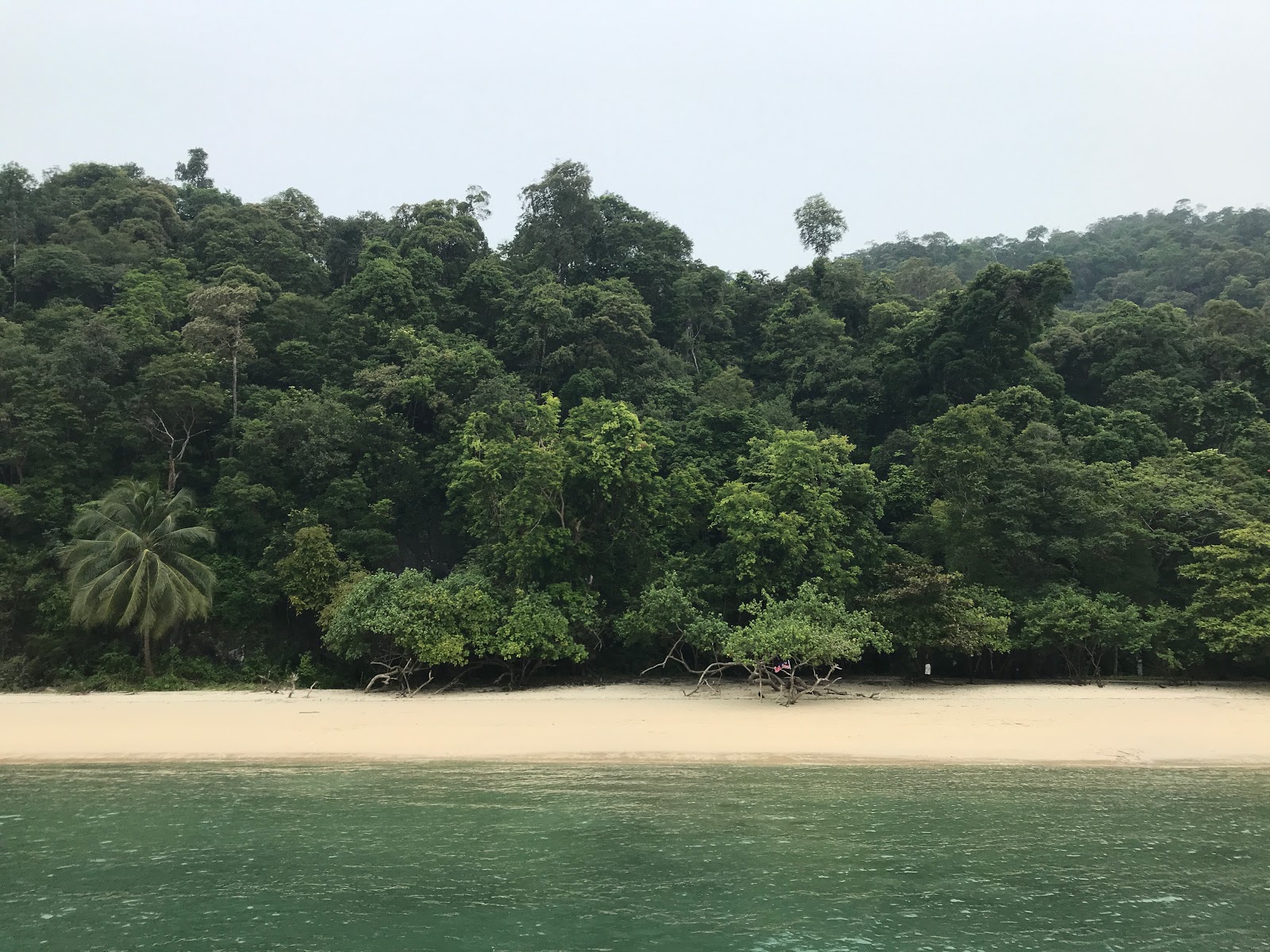 Foto van Pasir Panjang Beach gelegen in een natuurlijk gebied