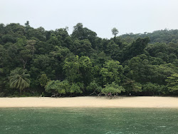 Pasir Panjang Beach'in fotoğrafı ve güzel manzarası