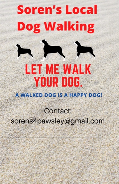 Soren’s 4 pawsley local dog walking