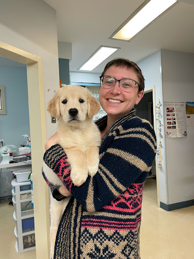 American Animal Hospital