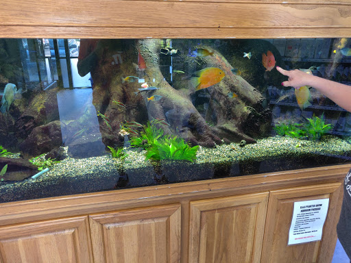 Tropical Fish Store «Exotic Aquatics», reviews and photos, 2929 Custer Rd #317, Plano, TX 75075, USA