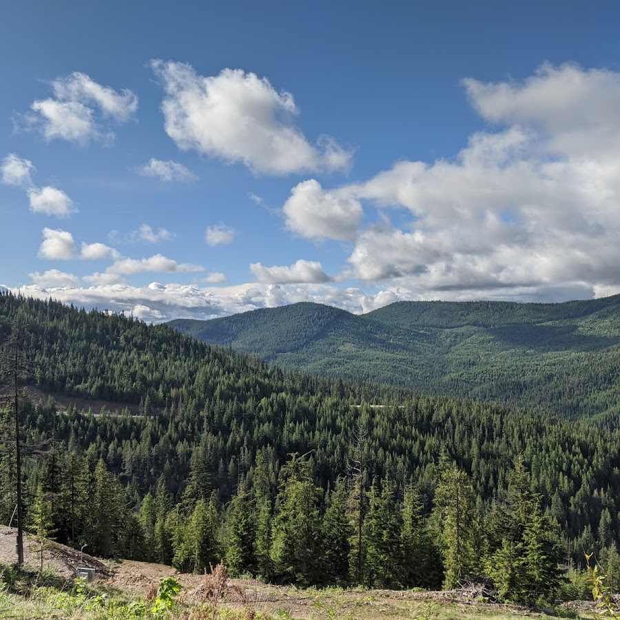 Colville National Forest