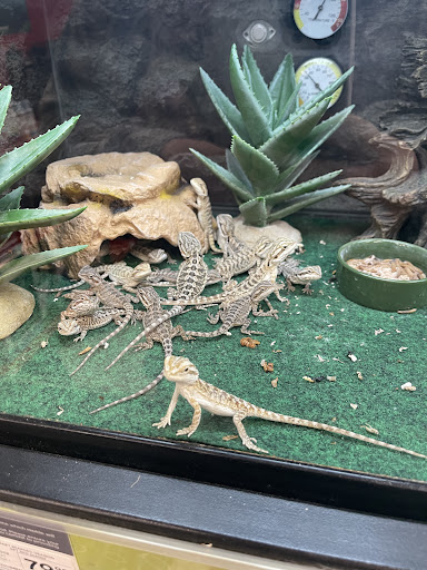 Pet Supply Store «Petco Animal Supplies», reviews and photos, 1500 N Town E Blvd, Mesquite, TX 75150, USA