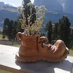 Photo n°1 de l'avis de anny.b fait le 16/09/2019 à 14:54 sur le  Baita Seurasas Hütte à Santa Cristina Gherdëina