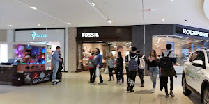 Fossil Store