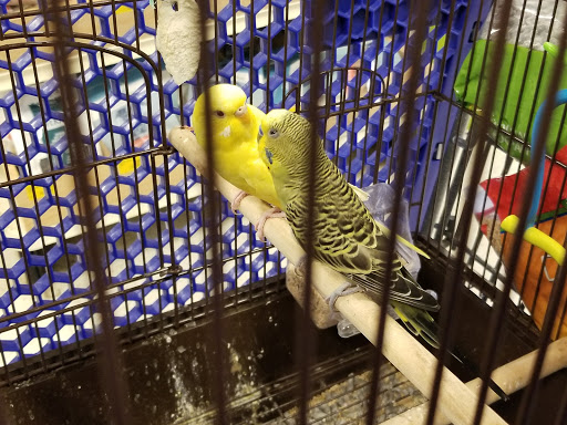 Pet Supply Store «PetSmart», reviews and photos, 8660 Airline Hwy, Baton Rouge, LA 70815, USA