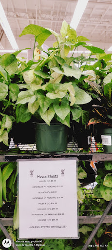 Hardware Store «Strand Ace Hardware- Escalon», reviews and photos, 3360 McHenry Ave, Escalon, CA 95320, USA