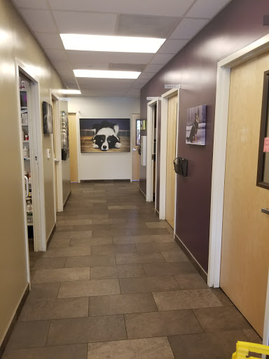 Adobe Animal Hospital South Bay image