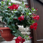 Photo n°5 de l'avis de Donatella.e fait le 24/07/2020 à 05:41 sur le  Pasquinelli à Berceto