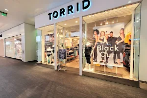 Torrid image