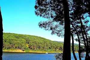 Aydos Forest image