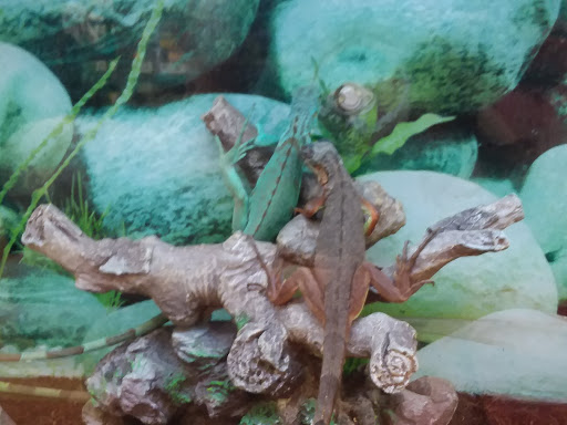 Pet Supply Store «Petco Animal Supplies», reviews and photos, 4908 Kingston Pike, Knoxville, TN 37919, USA