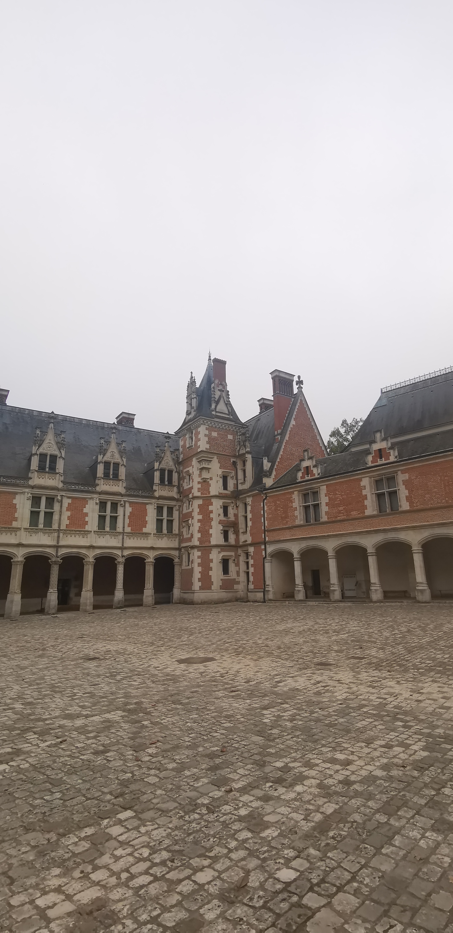 Photo n° 2 de l'avis de Marine.G fait le 15/11/2022 à 20:53