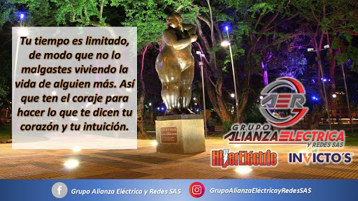 Grupo Alianza Eléctrica y Redes SAS - Materiales Eléctricos en Bucaramanga