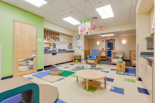 Preschool «Bright Horizons at Tampa Palms», reviews and photos, 5171 Cypress Preserve Dr, Tampa, FL 33647, USA
