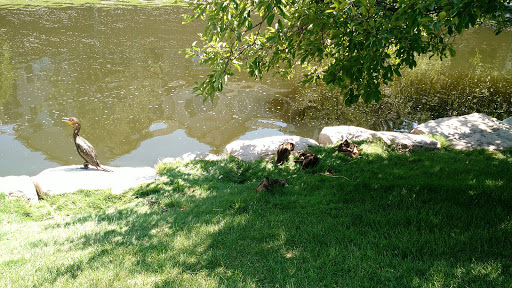 Park «Willow Creek Park», reviews and photos, 8000 E Phillips Cir, Centennial, CO 80112, USA