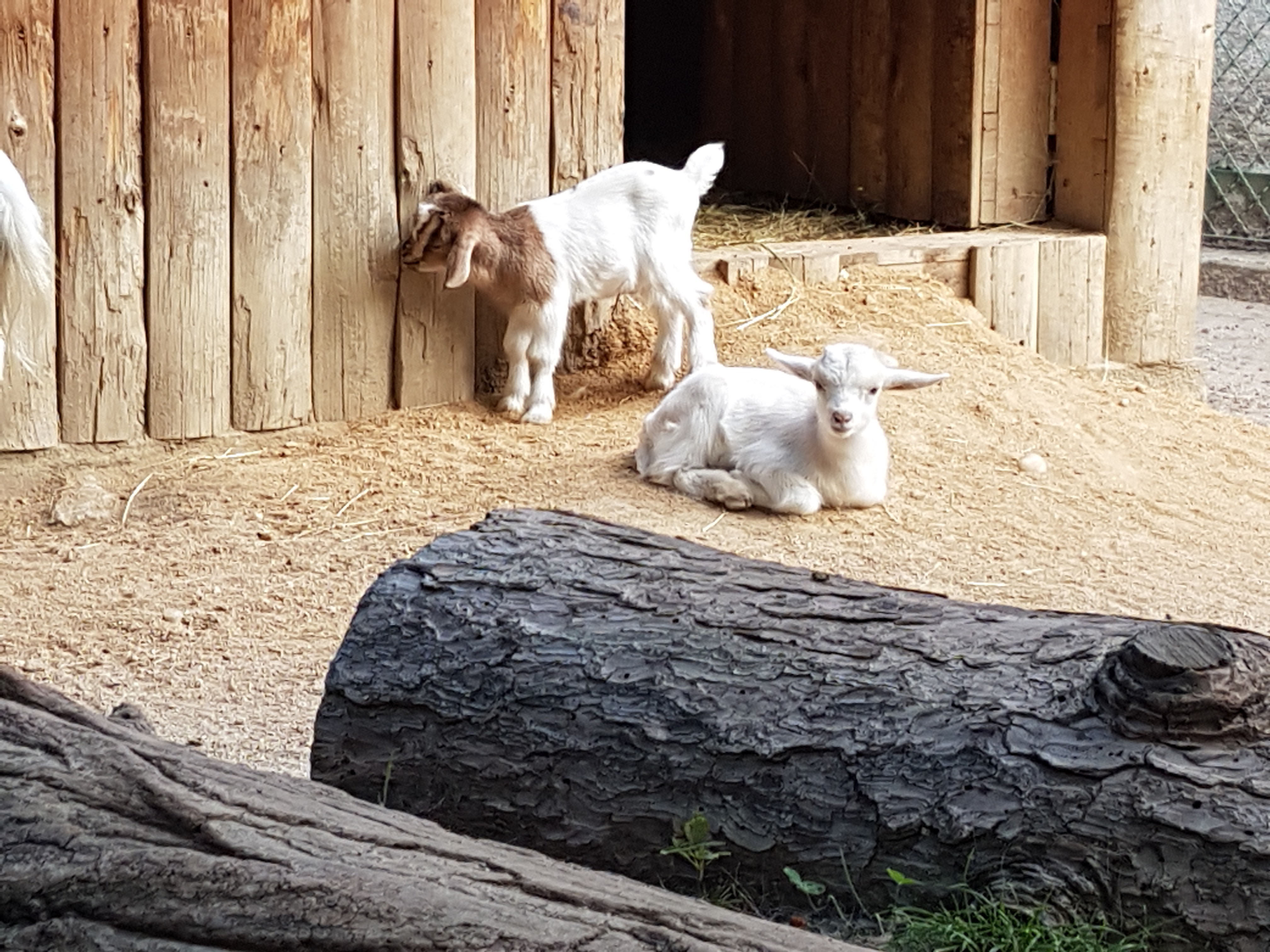 Photo n° 6 de l'avis de Elisabeth.O fait le 18/07/2017 à 21:32
