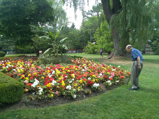 Toronto Botanical Garden