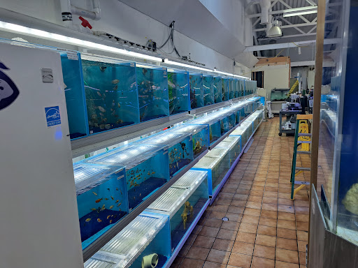 Pet Supply Store «Seascape Aquarium & Pet Center», reviews and photos, 2162 Gulf Gate Dr, Sarasota, FL 34231, USA