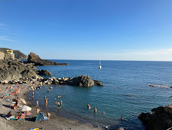 Zdjęcie Spiaggia Torsei z mała zatoka