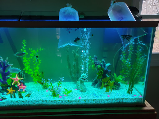 Tropical Fish Store «Aquarium Center», reviews and photos, 1468 Blackwood Clementon Rd, Clementon, NJ 08021, USA