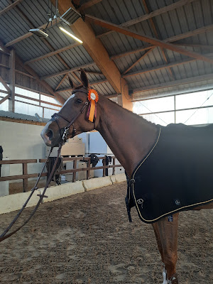 Haras Dell'Alba à Saint-Éliph