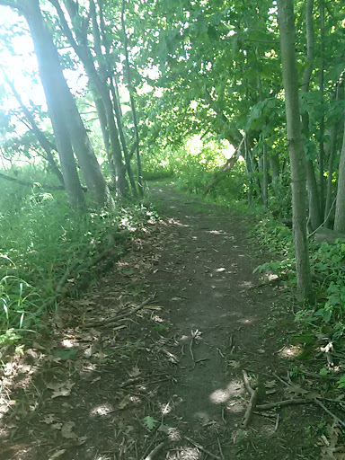 Mill «Sharon Mills County Park», reviews and photos, 5701 Sharon Hollow Rd, Manchester, MI 48158, USA