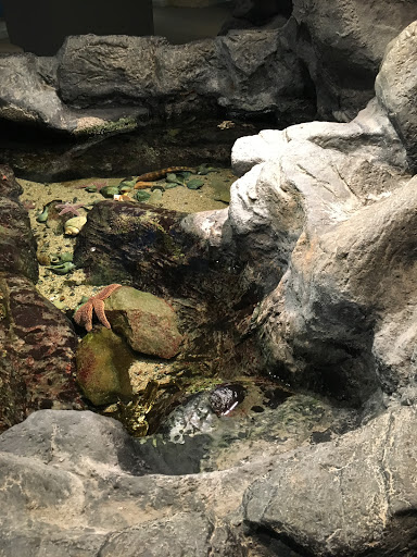 Educational Institution «The Audubon Society of Rhode Island Environmental Education Center», reviews and photos, 1401 Hope St, Bristol, RI 02809, USA