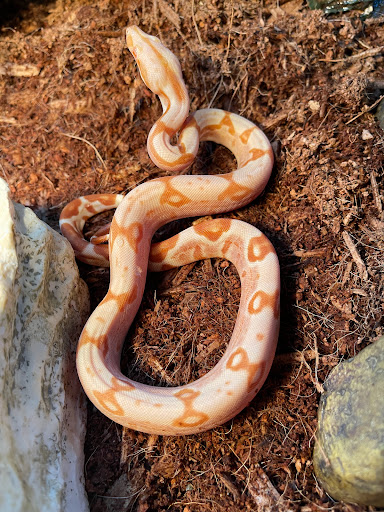 Pet Supply Store «House of Pets Inc», reviews and photos, 29500 Ford Rd, Garden City, MI 48135, USA