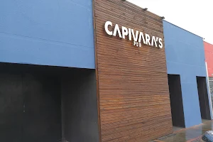Capivara's PUB image