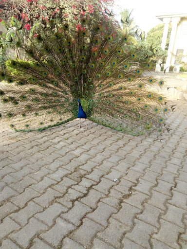 Dialogue Computer College, VV1 Kargako Road, City Centre, Kaduna, Nigeria, Home Builder, state Kaduna